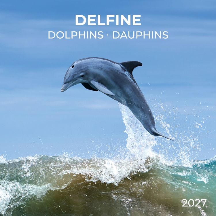 Produktbild: Delfine / Dolphins 2027