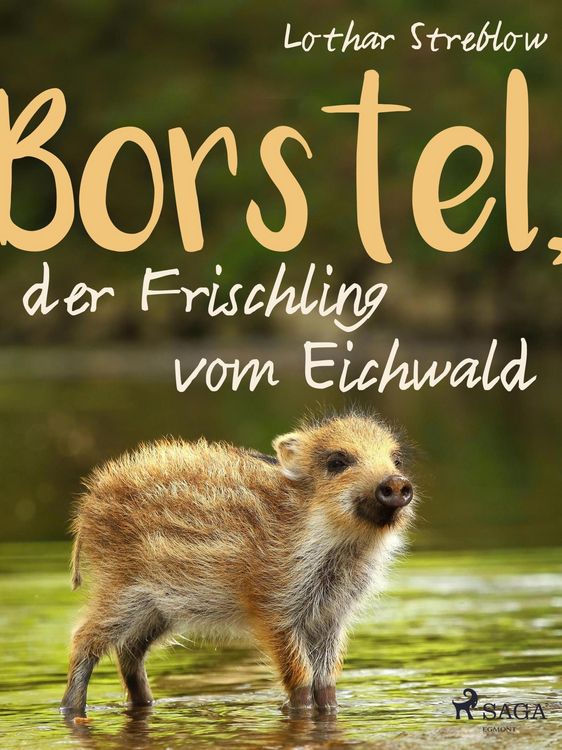 Produktbild: Borstel, der Frischling vom Eichwald