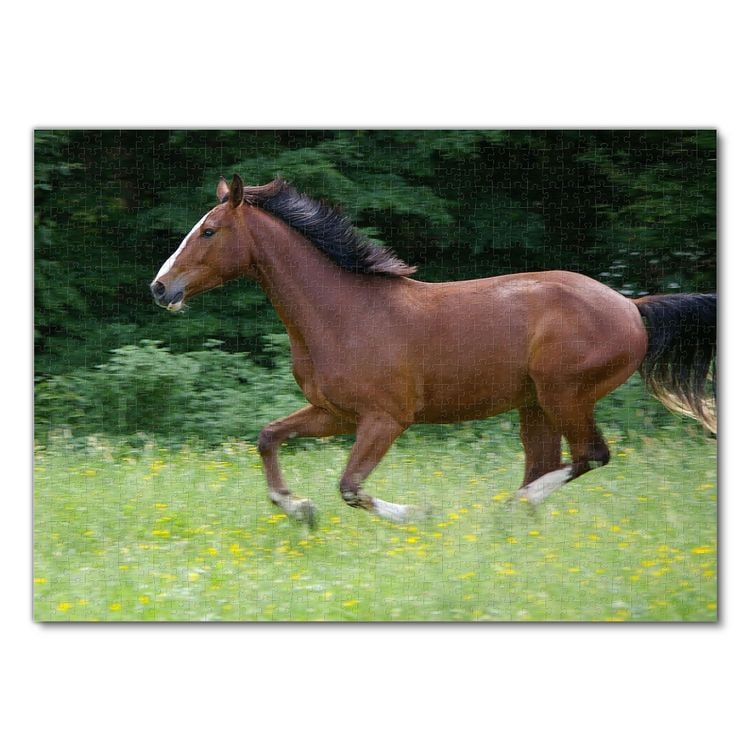 Produktbild: Lais Puzzle Pferd im Galopp 1000 Teile
