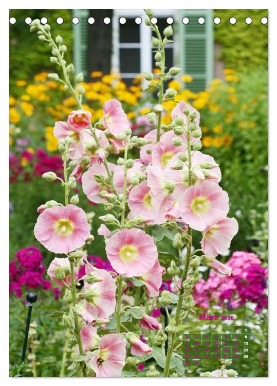 Produktbild: Malvenbl&uuml;te (Tischkalender 2026 DIN A5 hoch), CALVENDO Monatskalender