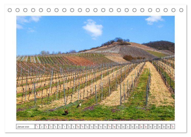 Produktbild: Die Mosel erwacht aus Ihrem Winterschlaf (Tischkalender 2026 DIN A5 quer), CALVENDO Monatskalender