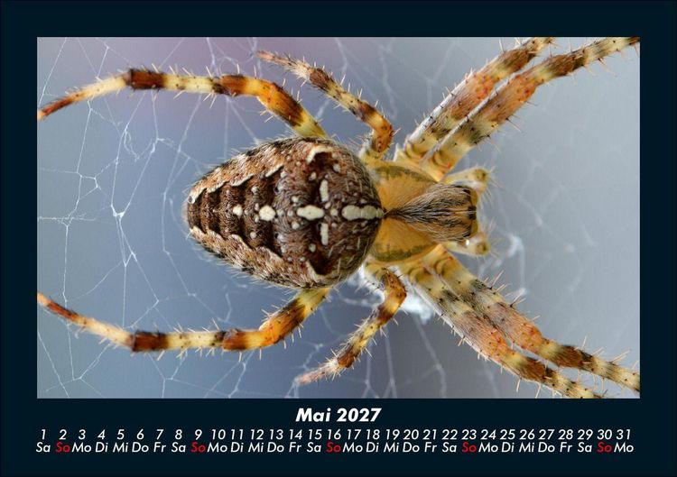 Produktbild: Der Tierkalender 2027 Fotokalender DIN A5