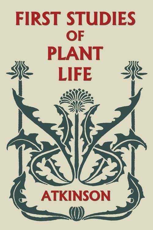 Produktbild: First Studies of Plant Life (Yesterday's Classics)