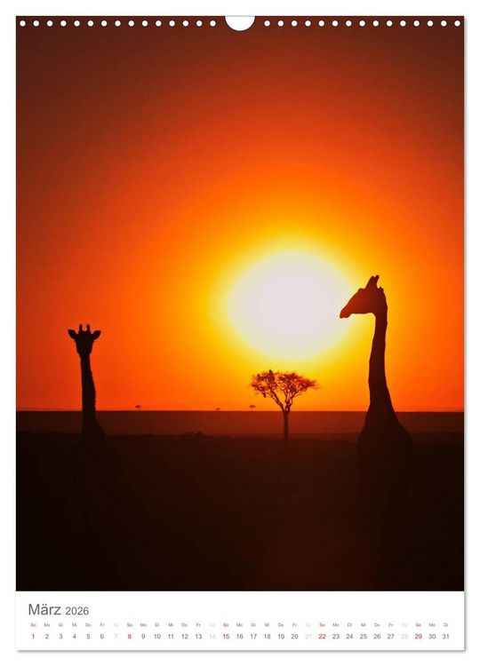 Produktbild: Magie des Augenblicks - Giraffen - Riesen der Savanne (Wandkalender 2026 DIN A3 hoch), CALVENDO Monatskalender