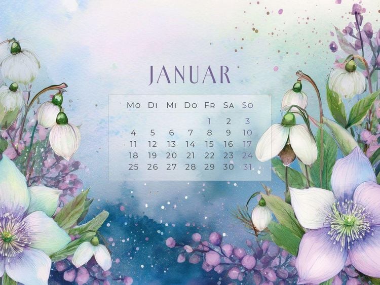 Produktbild: Flowers - Ein Jahr in Bl&uuml;te Kalender 2027