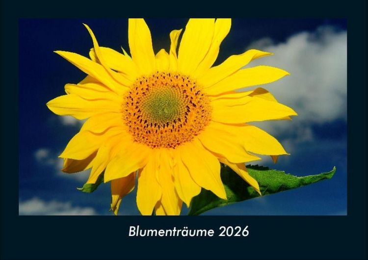 Produktbild: Blumentr&auml;ume 2026 Fotokalender DIN A4