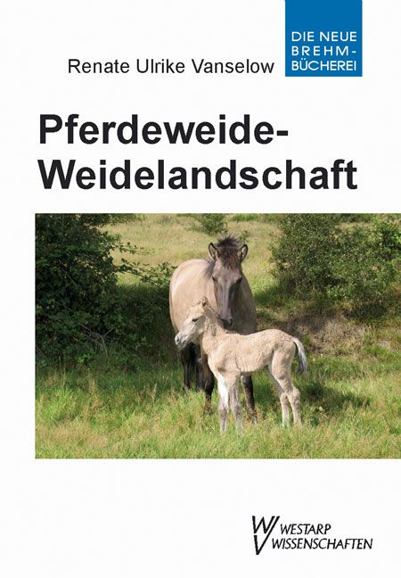 Produktbild: Pferdeweide-Weidelandschaft