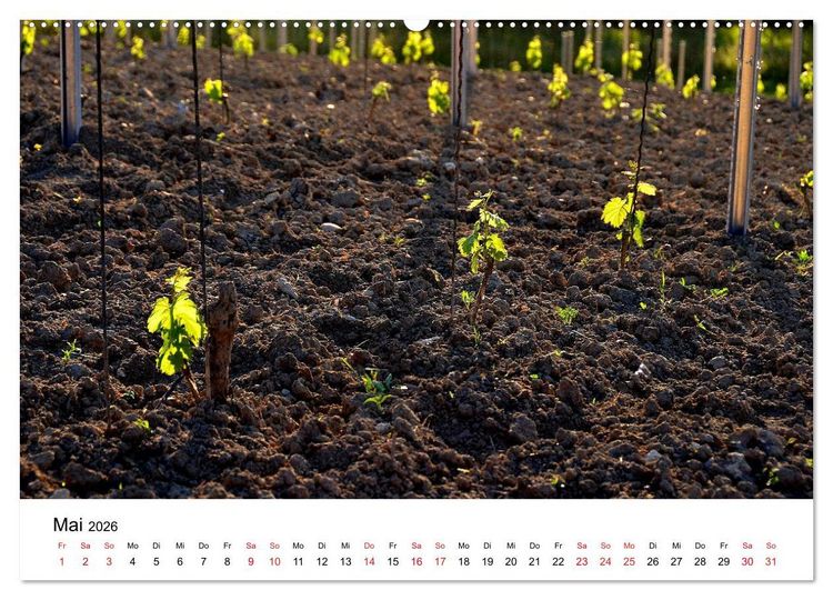 Produktbild: Impressionen vom Kaiserstuhl (Wandkalender 2026 DIN A2 quer), CALVENDO Monatskalender