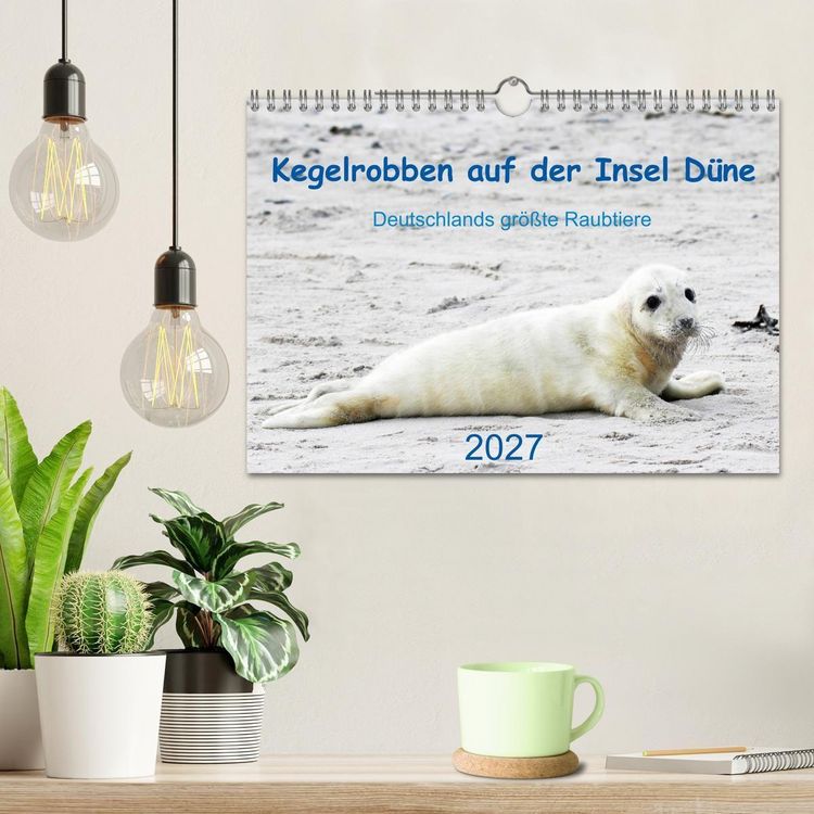 Produktbild: Kegelrobben auf der Insel D&uuml;ne (Wandkalender 2027 DIN A4 quer), CALVENDO Monatskalender