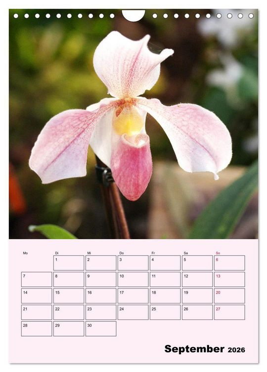 Produktbild: Orchideenliebe (Wandkalender 2026 DIN A4 hoch), CALVENDO Monatskalender