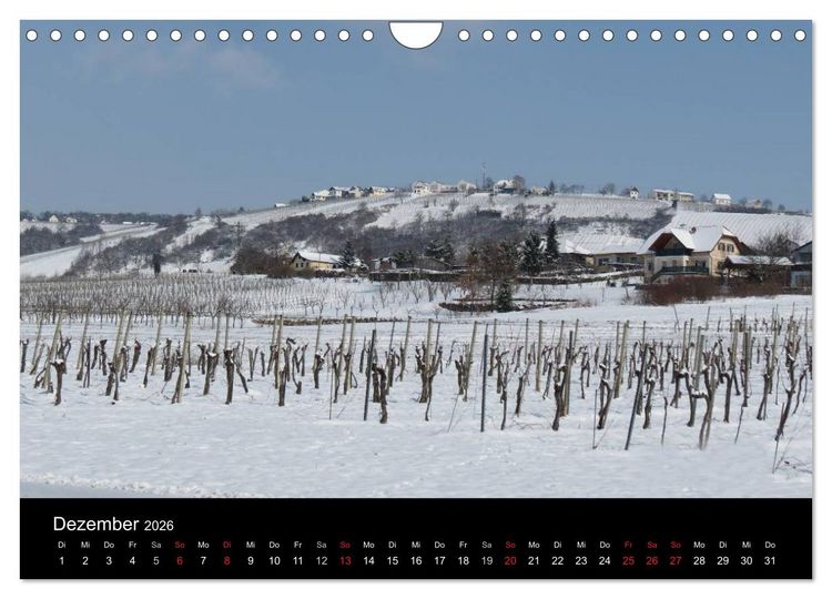 Produktbild: Weinidylle im S&uuml;dburgenland (Wandkalender 2026 DIN A4 quer), CALVENDO Monatskalender