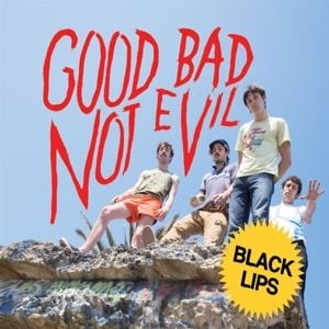 Produktbild: Good Bad Not Evil (Deluxe Edition)