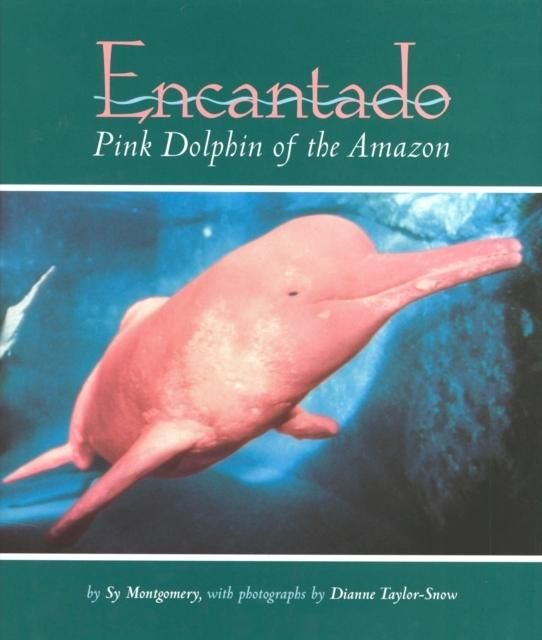 Produktbild: Encantado