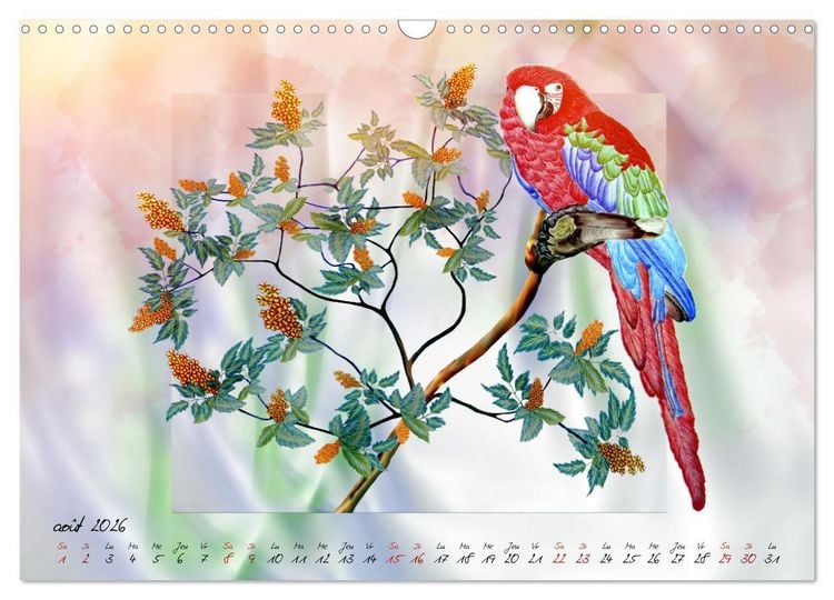 Produktbild: Dessins de perroquets (Calendrier mural 2026 DIN A3 vertical), CALVENDO calendrier mensuel