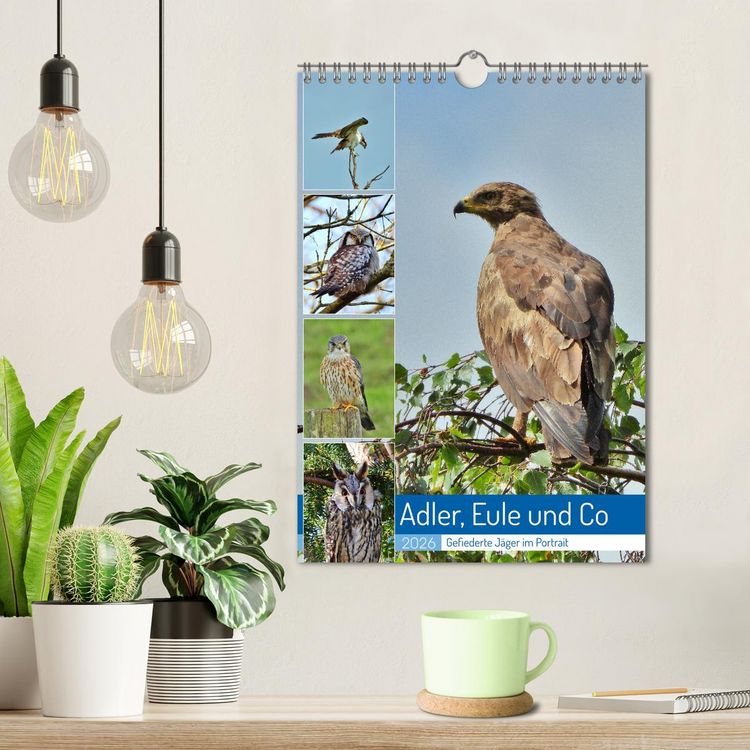 Produktbild: Adler, Eule und Co - Gefiederte J&auml;ger im Portrait (Wandkalender 2026 DIN A4 hoch), CALVENDO Monatskalender