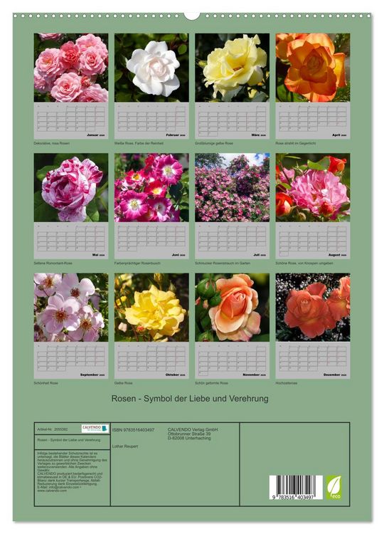 Produktbild: Rosen - Symbol der Liebe und Verehrung (hochwertiger Premium Wandkalender 2026 DIN A2 hoch), Kunstdruck in Hochglanz