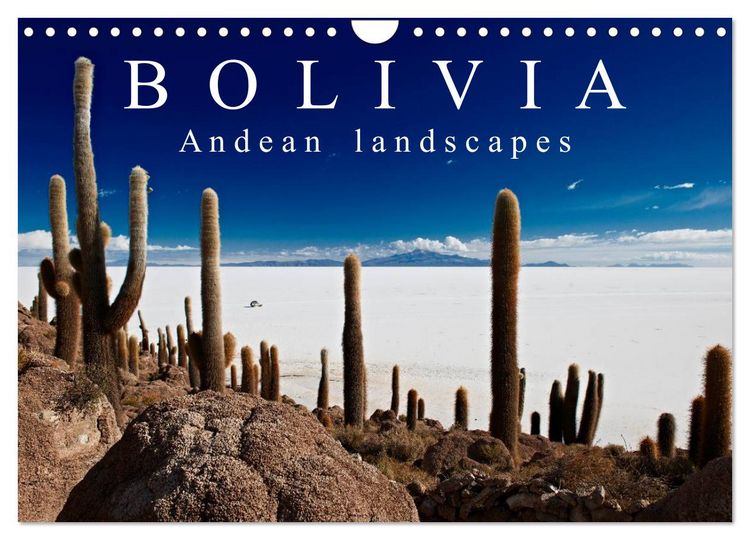 Produktbild: Bolivia Andean landscapes / UK-Version (Wall Calendar 2026 DIN A4 landscape), CALVENDO 12 Month Wall Calendar