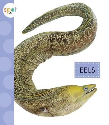 Produktbild: Eels