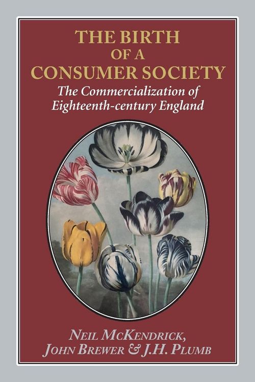 Produktbild: The Birth of a Consumer Society