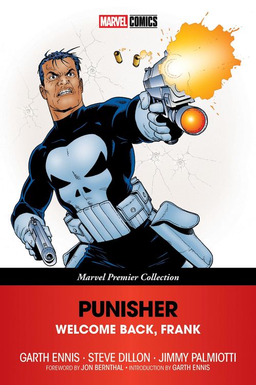 Produktbild: Punisher