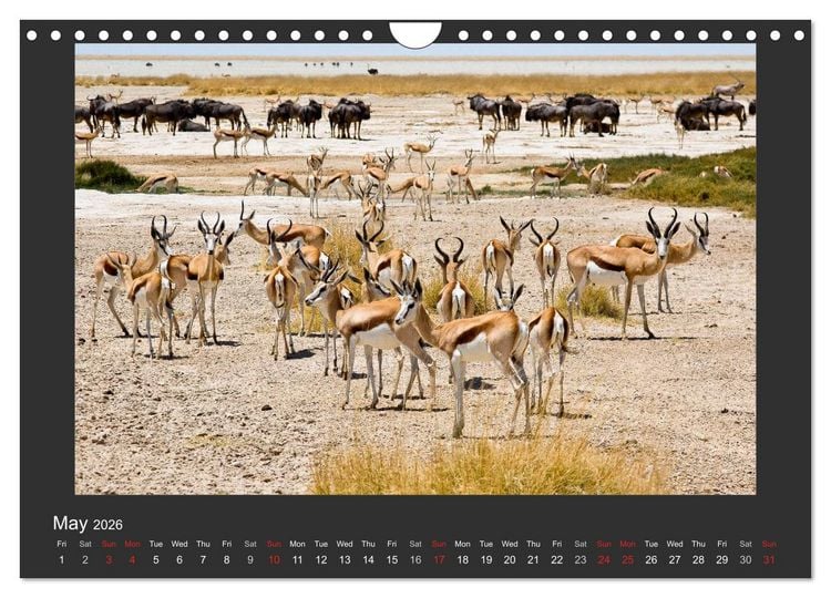 Produktbild: Namibia's Nature (Wall Calendar 2026 DIN A4 landscape), CALVENDO 12 Month Wall Calendar
