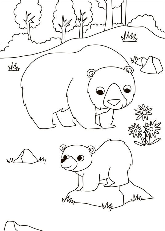 Produktbild: Schraffur-Malbuch. Zootiere