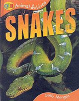 Produktbild: Snakes