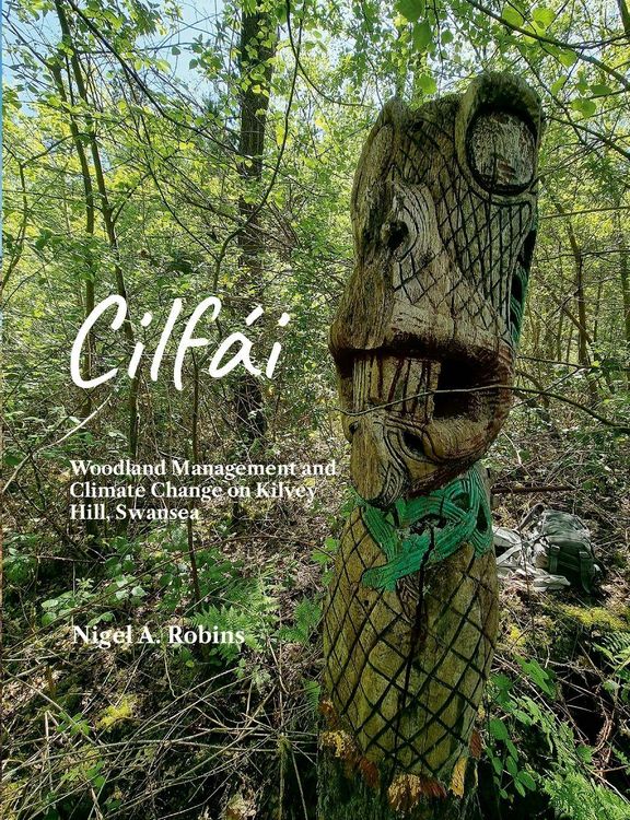 Produktbild: Cilf&aacute;i