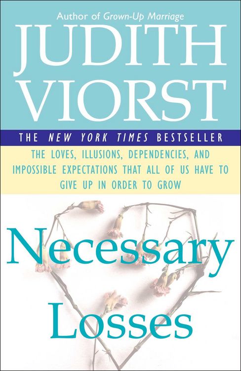 Produktbild: Necessary Losses