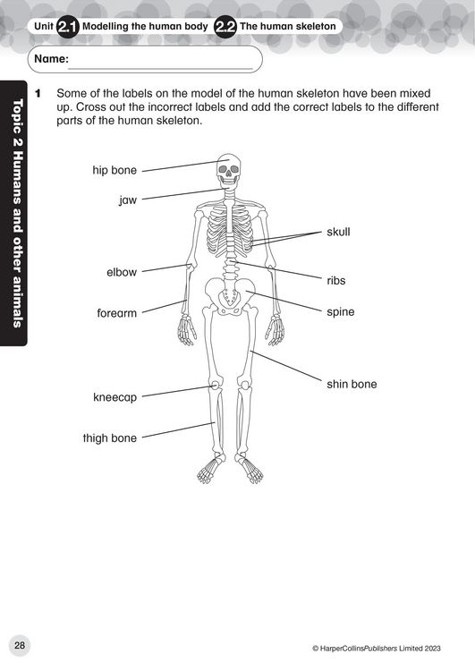 Produktbild: Collins International Primary Science