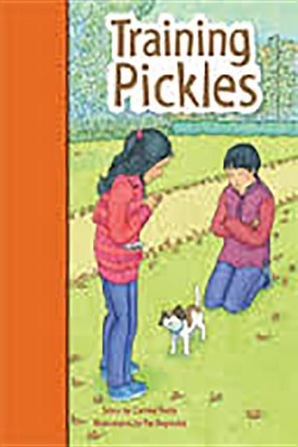 Produktbild: Rigby PM Stars Bridge Books: Leveled Reader Bookroom Package Orange Training Pickles