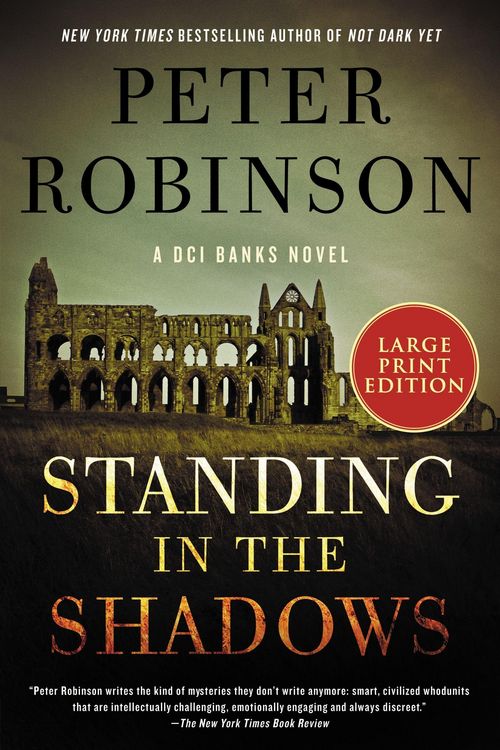 Produktbild: Standing in the Shadows