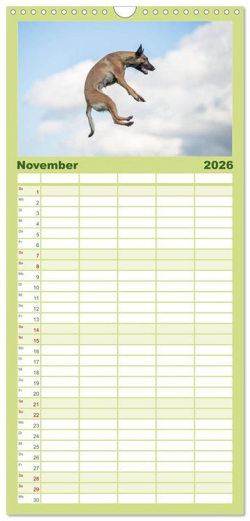 Produktbild: Familienplaner 2026 - Belgischer Sch&auml;ferhund - Der Malinois in Action mit 5 Spalten (Wandkalender, 21 x 45 cm) CALVENDO