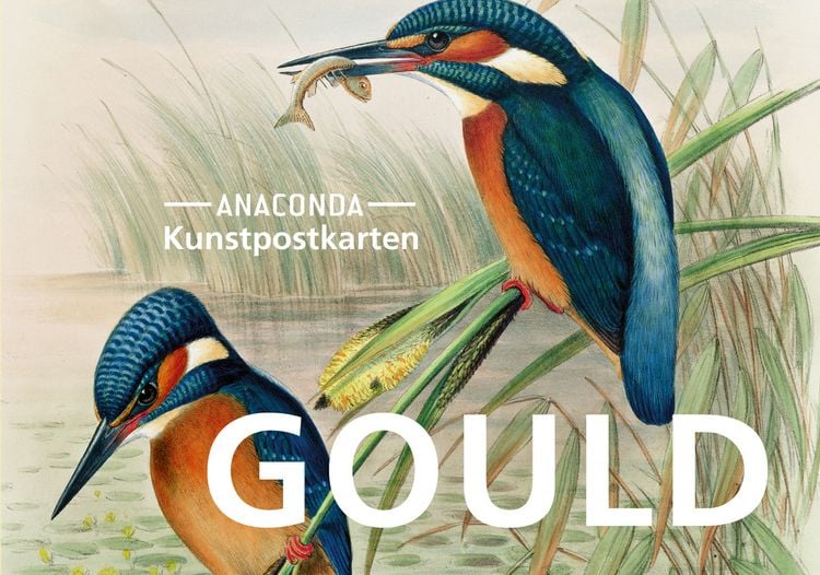 Produktbild: Postkarten-Set John Gould