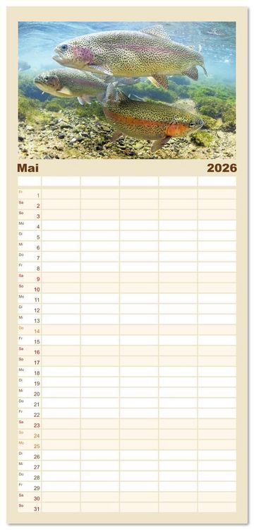 Produktbild: Familienplaner 2026 - Forelle, Hecht und St&ouml;r: Fische in europ&auml;ischen Gew&auml;ssern mit 5 Spalten (Wandkalender, 21 x 45 cm) CALVENDO