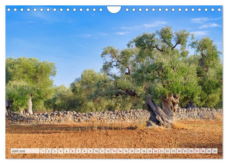 Produktbild: Faszinierendes Apulien (Wandkalender 2026 DIN A4 quer), CALVENDO Monatskalender