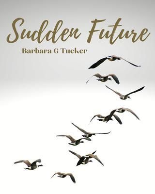 Produktbild: Sudden Future