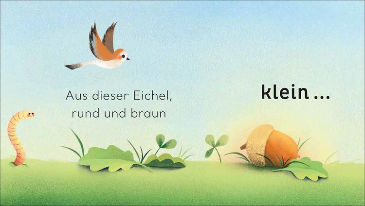 Produktbild: Eine kleine Welt im Baum