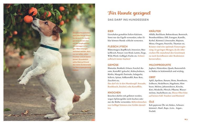 Produktbild: Gesund & lecker: Kochen f&uuml;r den Hund