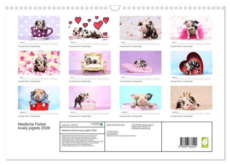 Produktbild: Niedliche Ferkel lovely piglets 2026 (Wandkalender 2026 DIN A3 quer), CALVENDO Monatskalender