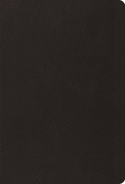 Produktbild: Psalms-ESV