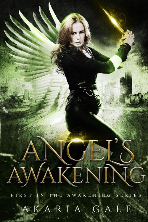 Produktbild: Angel's Awakening