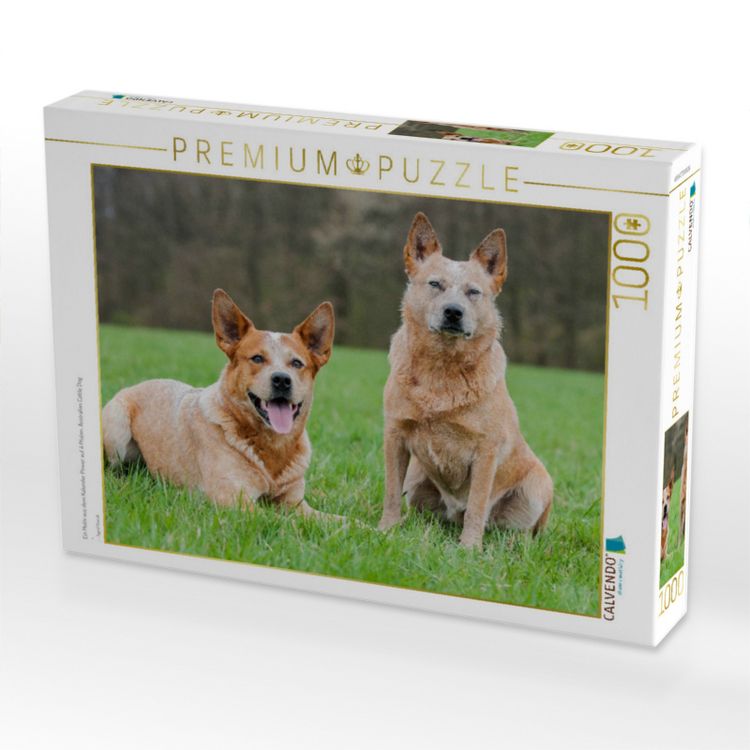 Produktbild: CALVENDO Puzzle Ein Motiv aus dem Kalender Power auf 4 Pfoten. Australian Cattle Dog | 1000 Teile Lege-Gr&ouml;&szlig;e 64x48cm Foto-Puzzle f&uuml;r gl&uuml;ckliche Stunde