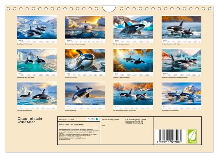 Produktbild: Orcas - ein Jahr voller Meer (Wandkalender 2027 DIN A4 quer), CALVENDO Monatskalender