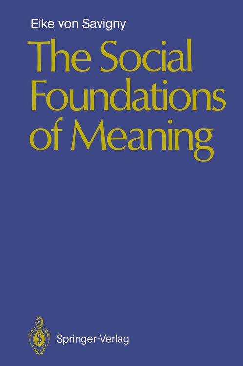 Produktbild: The Social Foundations of Meaning