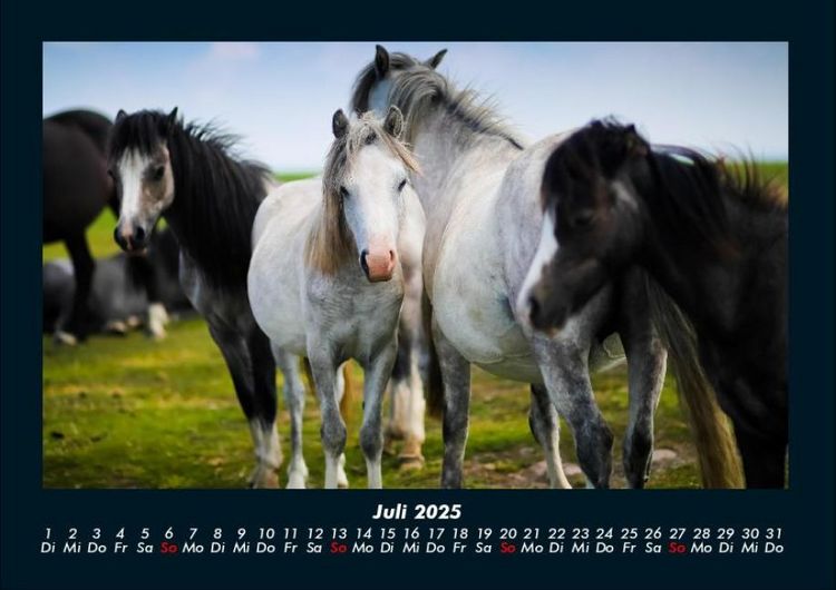 Produktbild: Die Welt der Pferde 2025 Fotokalender DIN A4