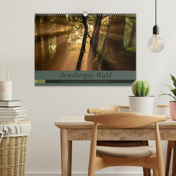 Produktbild: Arnsberger Wald (Wandkalender 2026 DIN A3 quer), CALVENDO Monatskalender