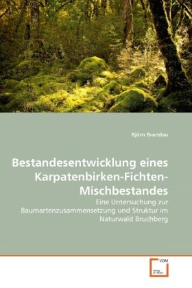 Produktbild: Brandau, B: Bestandesentwicklung eines Karpatenbirken-Fichte