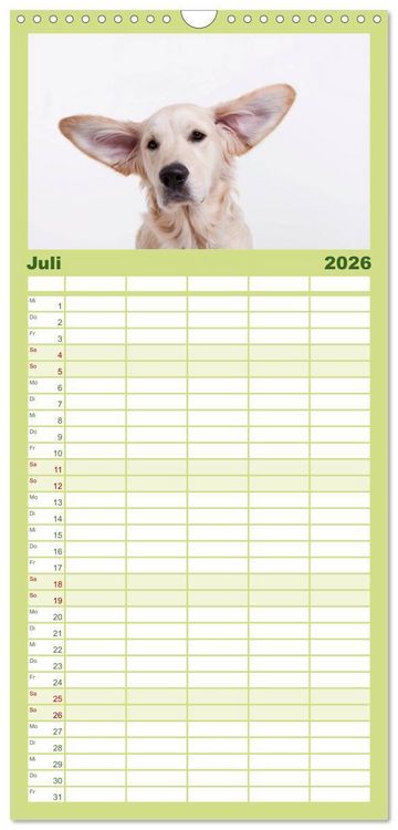 Produktbild: Familienplaner 2026 - SCHLAPPOHREN mit 5 Spalten (Wandkalender, 21 x 45 cm) CALVENDO