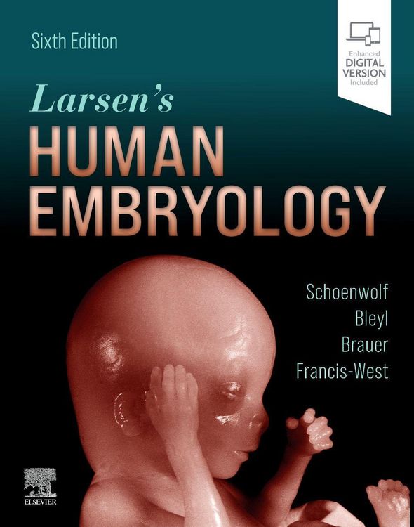 Produktbild: Larsen's Human Embryology